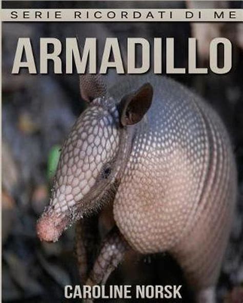 Read Online Armadillo Libro Sui Armadillo Per Bambini Con Foto Stupende Storie Divertenti 