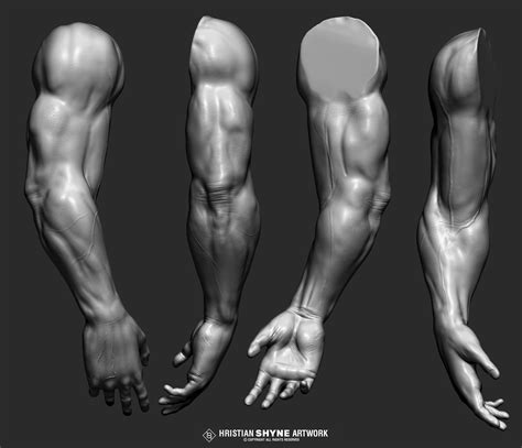 Arms And The Man Study Guide Artsalive Home