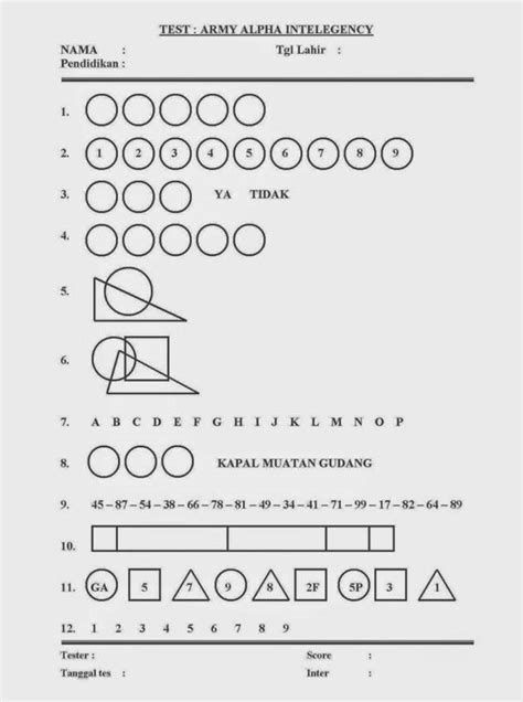 army alpha | Alpha Industries denimister