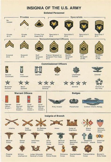 Read Online Army Uniform Insignia Guide 