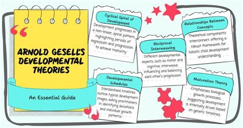 arnold gesell theory of child development