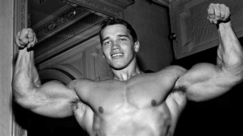 Arnold Schwarzenegger Build