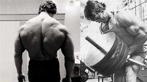 Arnold Training Tips 3