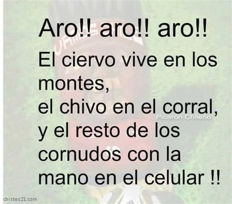Aro Aro Graciosos