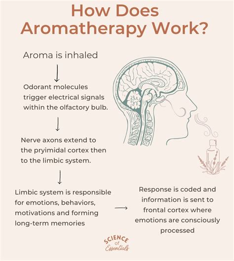 Aromatherapy Science