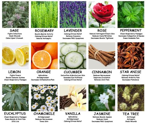 aromatherapyessentialoilschart EVERYTHiNG SOULFuL