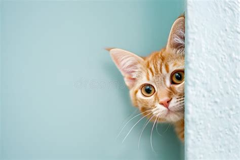 Around The Corner