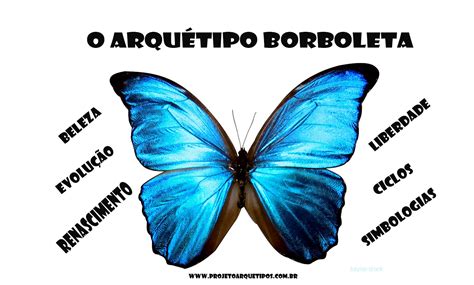 Arquetipo Da Borboleta