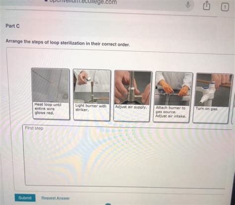 Arrange The Steps Of Loop Sterilization In Their Correct Order