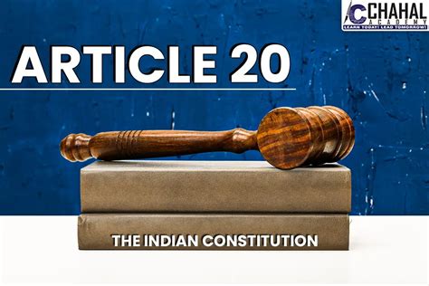 Art 20 Constitution