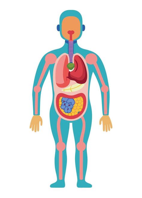 Art Of Human Body