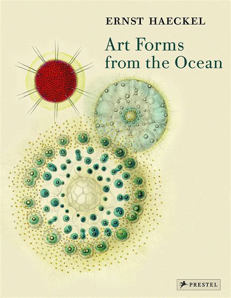Full Download Art Forms From The Ocean The Radiolarian Prints Of Ernst Haeckel 