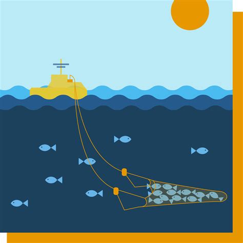 Artes De Pesca