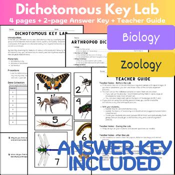 Arthropod Dissection Lab Key