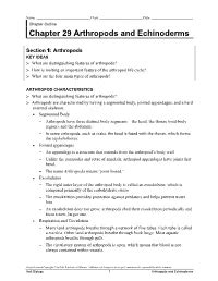 arthropods and echinoderms chapter vocabulary review