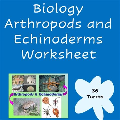 Arthropods Echinoderms Section Review Answer Key