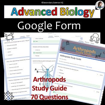 Read Arthropods Study Guide Answer Key 