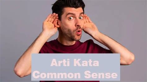 Arti Common Sense