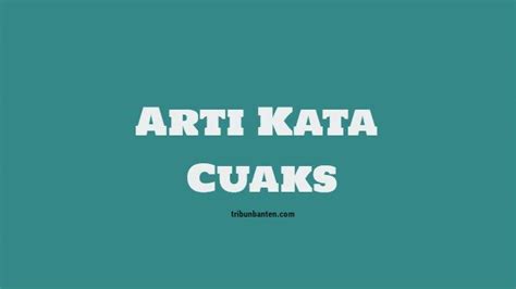 ARTI KATA CUAKS 🧸 Dipopulerkan Oleh Stand Up Komedian, Apa Sih Arti Cuak yang