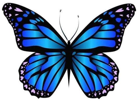 arti lambang kupu kupu biru