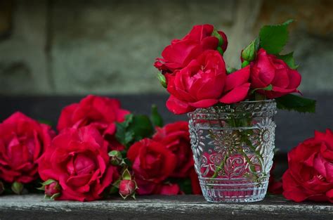 Arti Mimpi Bunga Mawar Jadi Pertanda Baik Ini Arti Mimpi Dikasih Bunga Mawar - Arti Mimpi Dikasih Bunga Mawar