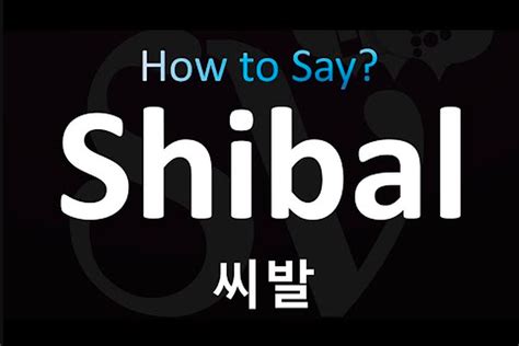 ARTI KATA SHIBAL - Arti Kata Shibal Tak Sembarangan Dipakai, Bahasa Gaul dari