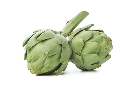Read Online Artichoke Cynara Scolymus L Leaves And Heads Extracts 