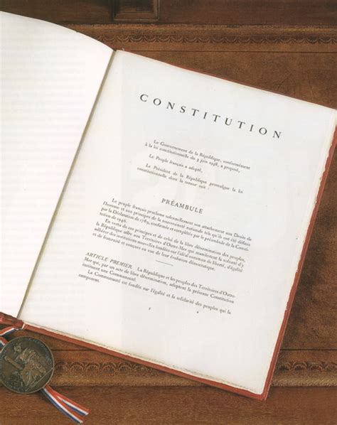 Article 20 De La Constitution