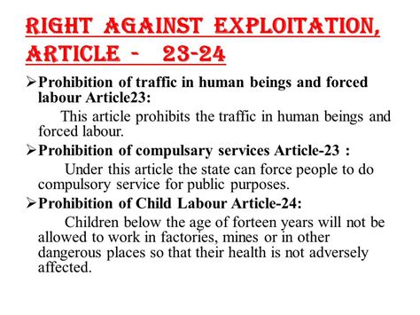 Article 23 And 24