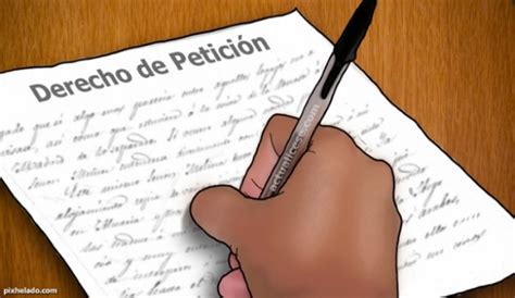 Articulo 8 Constitucional