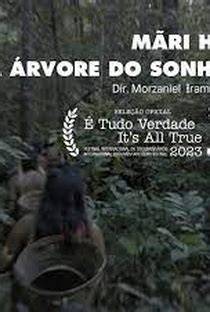 Arvore Do Sonho