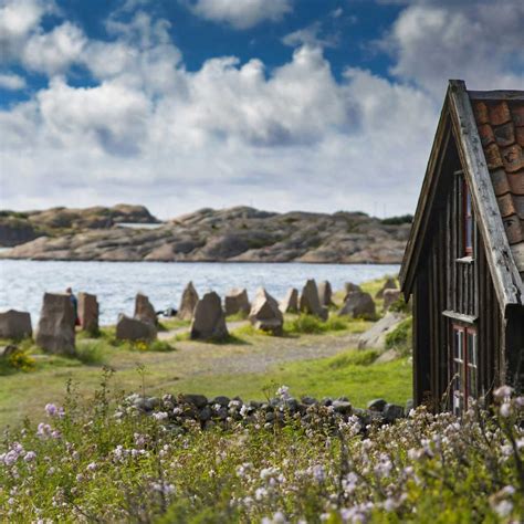 arvsavsägelse efter dödsfall