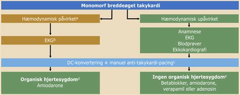 arytmi internetmedicin