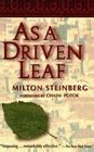 As A Driven Leaf