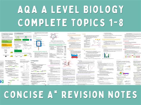 Download As Level Aqa Biology Notes New Spec A Level Notes 