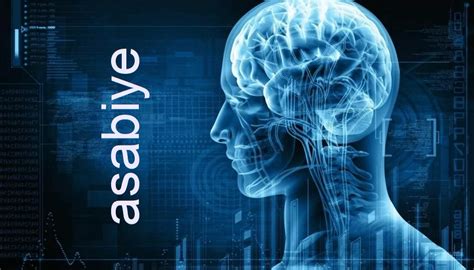 veodersti.rgarabwor.edu.pl. 