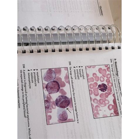 Ascp Boc Study 5th Edition