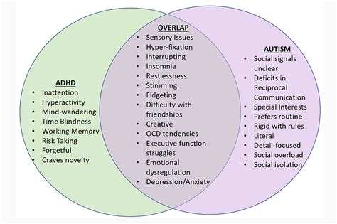 Asd And Adhd Overlap