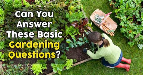 Ask A Question Garden Org The National Gardening Plant Questions And Answers - Plant Questions And Answers