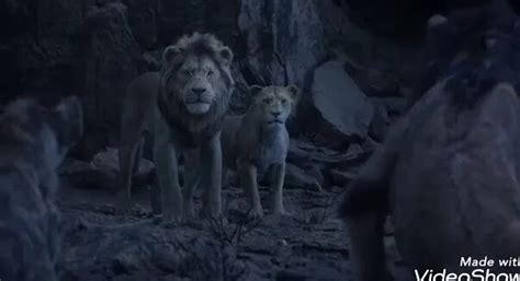 aslan kral +5 ismi Yandex.