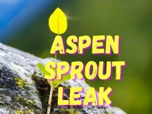 aspen sprout leak chancocat porn ASE7HU3 