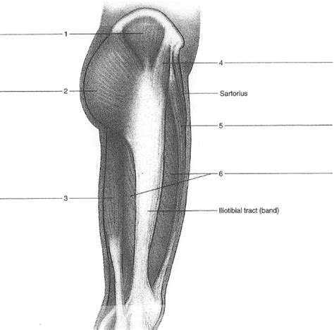 Ass Diagram
