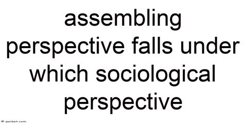 Assembling Perspective Falls Under Which Sociological Perspective