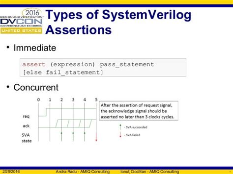Assertions In Sv