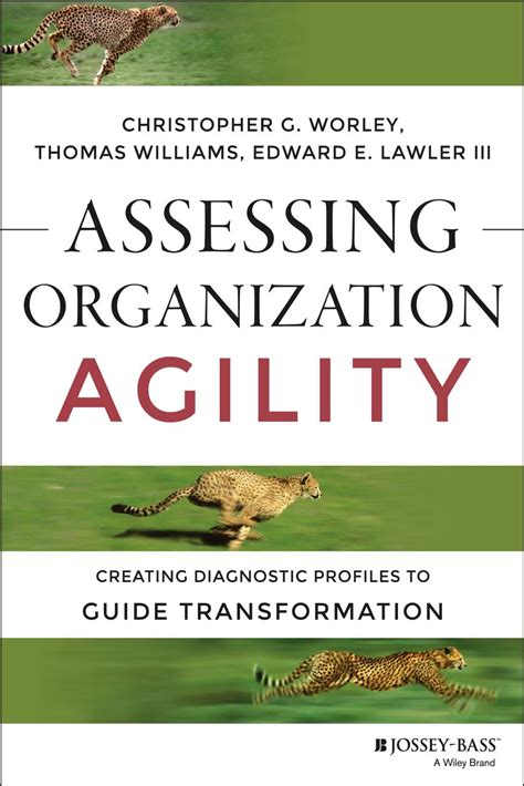 Assessing Organization Agility Creating Diagnostic Profiles To Guide Transformation J B Short Format Series