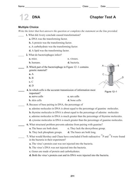 Assessment Chapter Test B Dna Rna And Protein Synthesis Answers