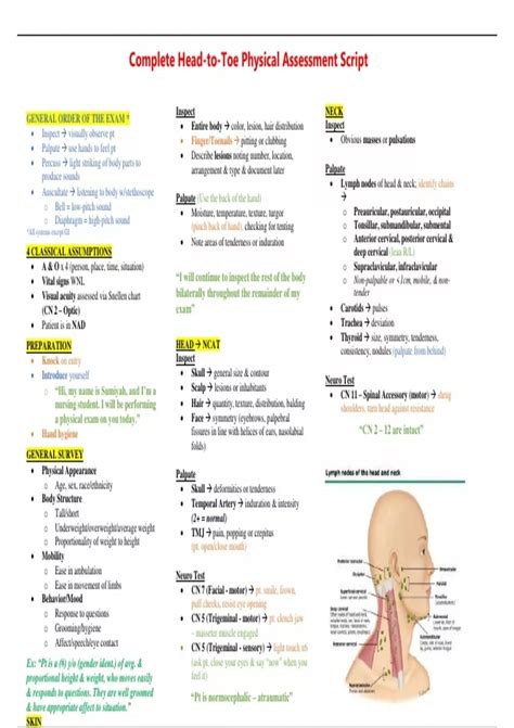Assessment Head To Toe Script