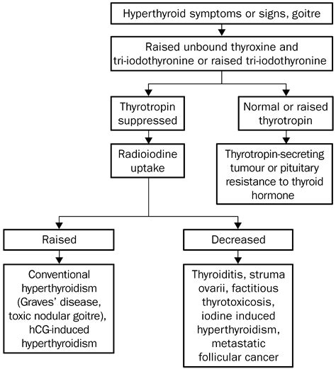 Assessment Of Hemostasis In Hyperthyroid And Euthyroid Cats Cats And Science - Cats And Science