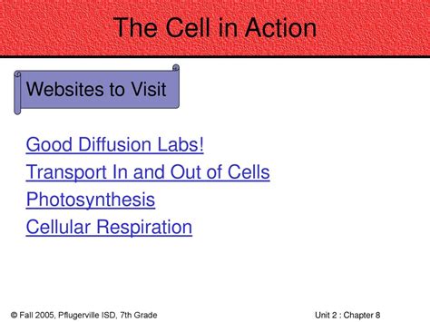 Full Download Assessment Chapter C The Cell In Action 