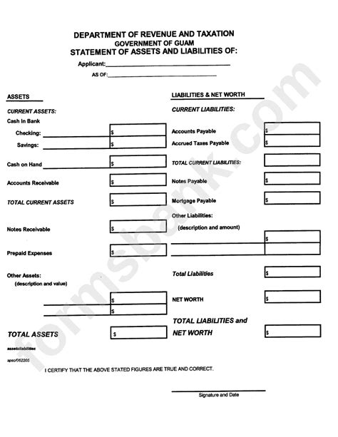 Asset And Liabilities Form
